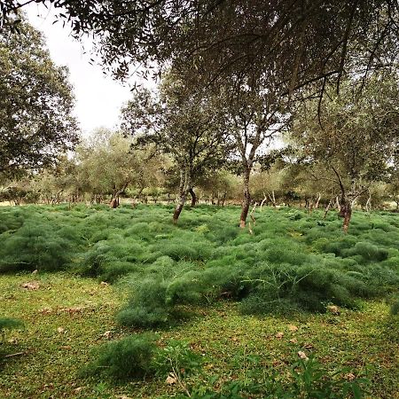La Fuensanta Βίλα Hornachuelos Εξωτερικό φωτογραφία