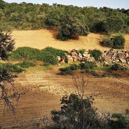 La Fuensanta Βίλα Hornachuelos Εξωτερικό φωτογραφία