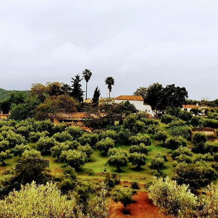 La Fuensanta Βίλα Hornachuelos Εξωτερικό φωτογραφία