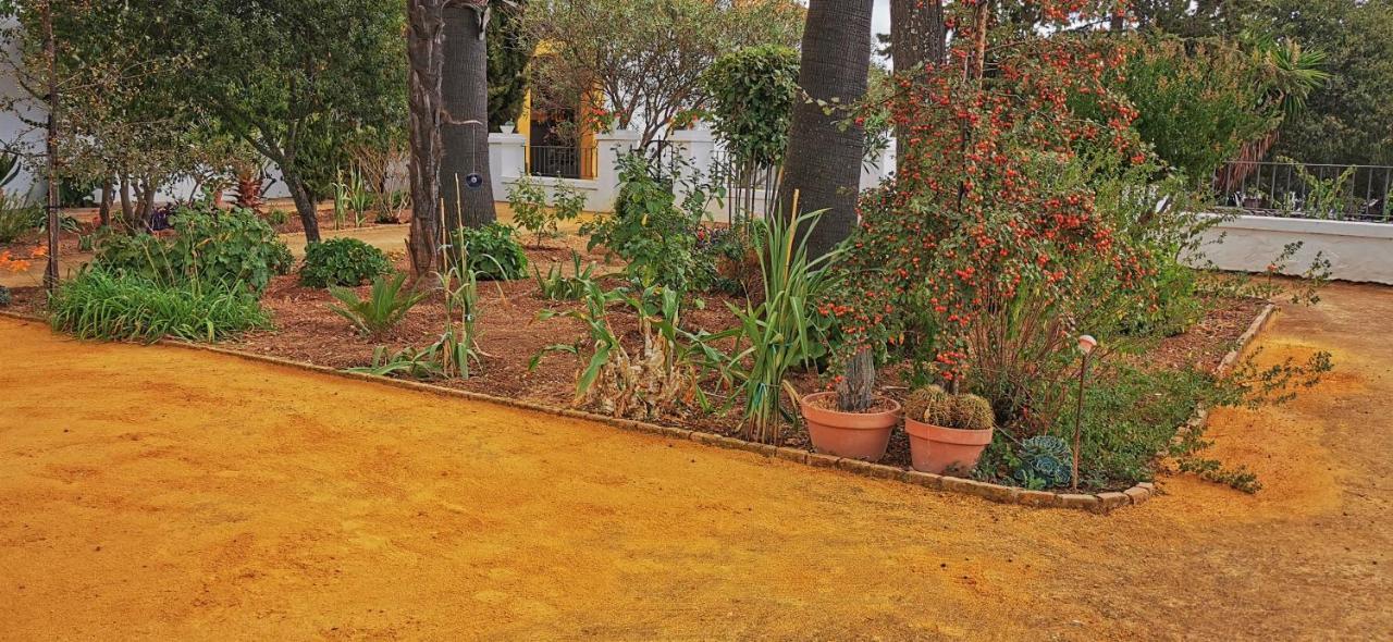 La Fuensanta Βίλα Hornachuelos Εξωτερικό φωτογραφία