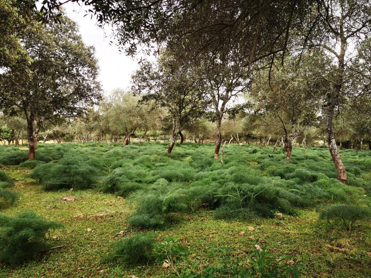 La Fuensanta Βίλα Hornachuelos Εξωτερικό φωτογραφία