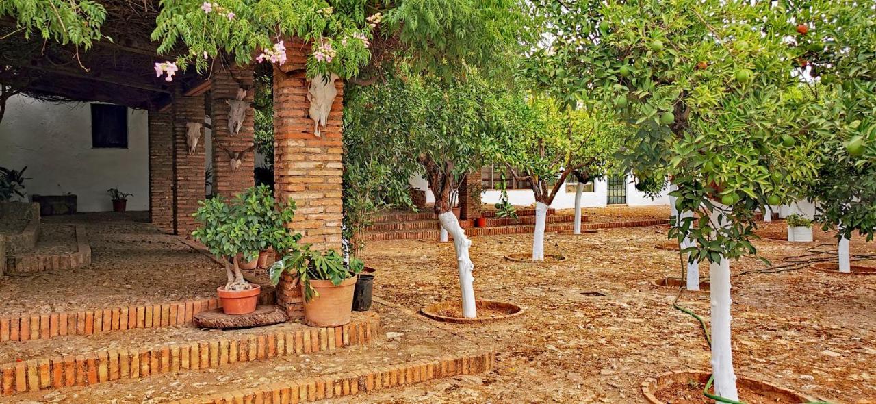 La Fuensanta Βίλα Hornachuelos Εξωτερικό φωτογραφία