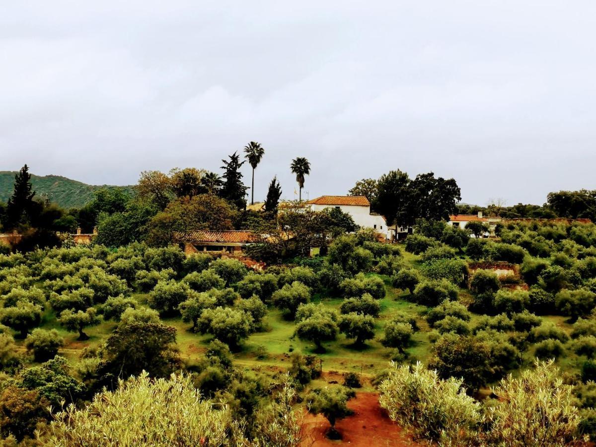 La Fuensanta Βίλα Hornachuelos Εξωτερικό φωτογραφία